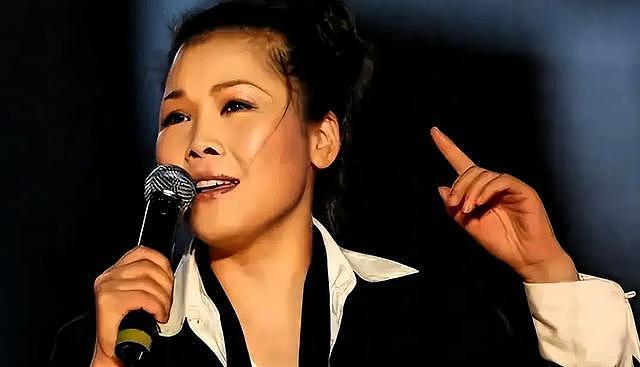 59岁田震从澳洲回国开演唱会遭抵制，拒绝国内赚钱国外花（组图） - 2