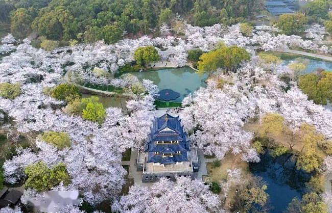 江苏臭名昭著的4所大学,连人民日报都点名(组图) - 1