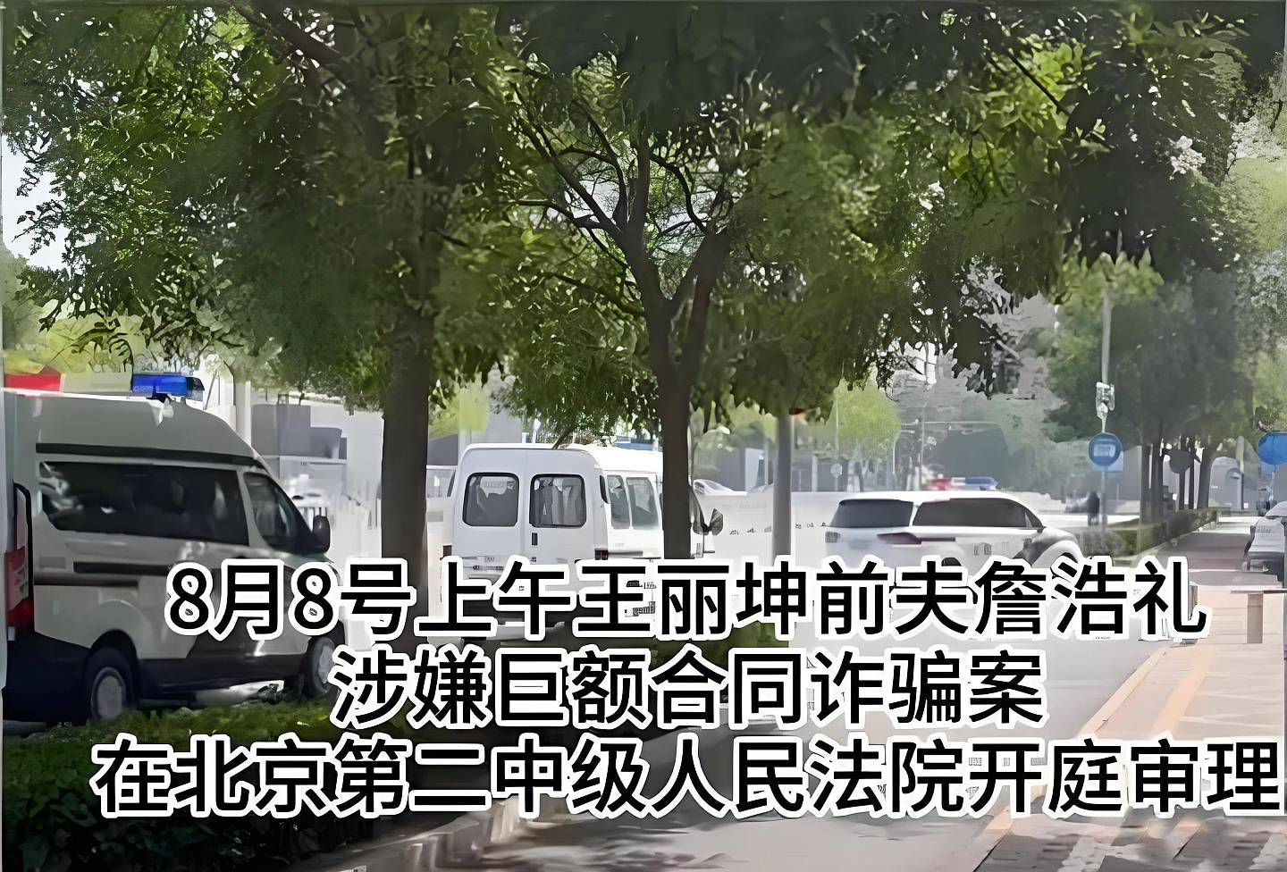 女星王丽坤：被诈骗犯前夫害惨了 网友：这是嫁富豪的代价（组图） - 5