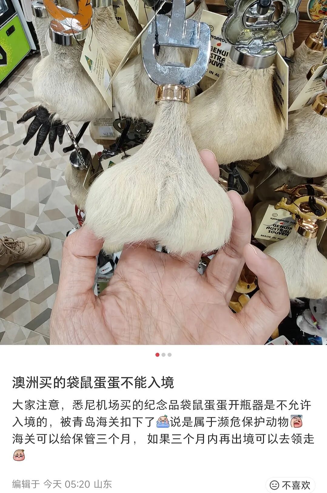 【爆笑】“当你约crush看疯狂动物城2......”哈哈哈哈哈哈哈这什么逆天回复啊（组图） - 88