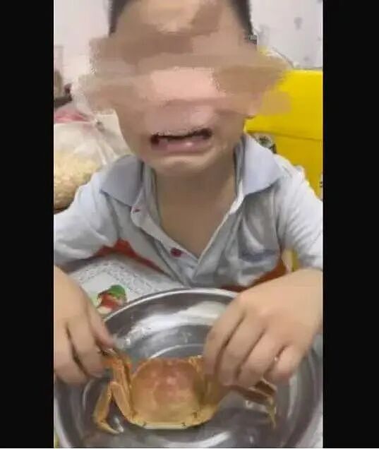 把孩子的宠物杀了吃，还拍视频发网上？！这些父母的操作太丧心病狂了...（组图） - 2