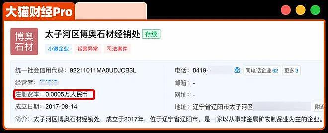 1个老板,69个空壳公司,干破产一家银行(组图) - 3