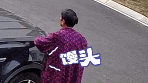 【宠物】小哥的“几把猫”丢了,到处贴寻猫启事,网友一看配图:难怪这猫会离家出走...(组图) - 15