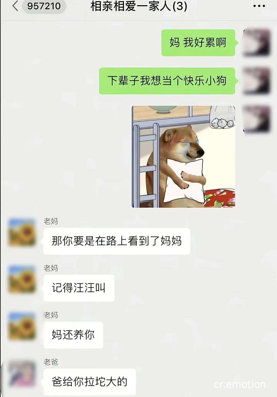 【爆笑】“当你约crush看疯狂动物城2......”哈哈哈哈哈哈哈这什么逆天回复啊（组图） - 17