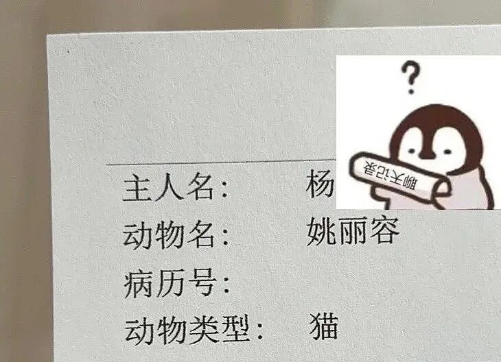【宠物】小哥的“几把猫”丢了,到处贴寻猫启事,网友一看配图:难怪这猫会离家出走...(组图) - 12