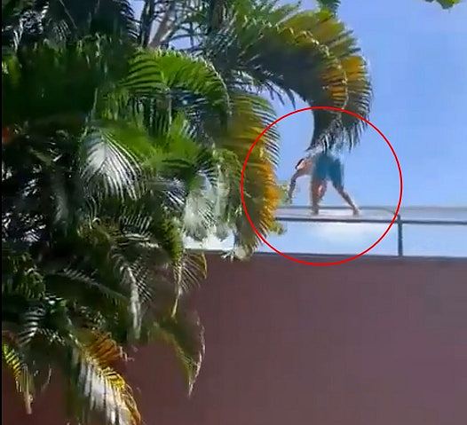 惊悚视频曝光!巴西男子翻6.1米高墙跳入狮舍,秒遭母狮扑咬惨死(视频/组图) - 2