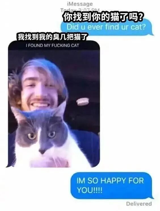 【宠物】小哥的“几把猫”丢了,到处贴寻猫启事,网友一看配图:难怪这猫会离家出走...(组图) - 7