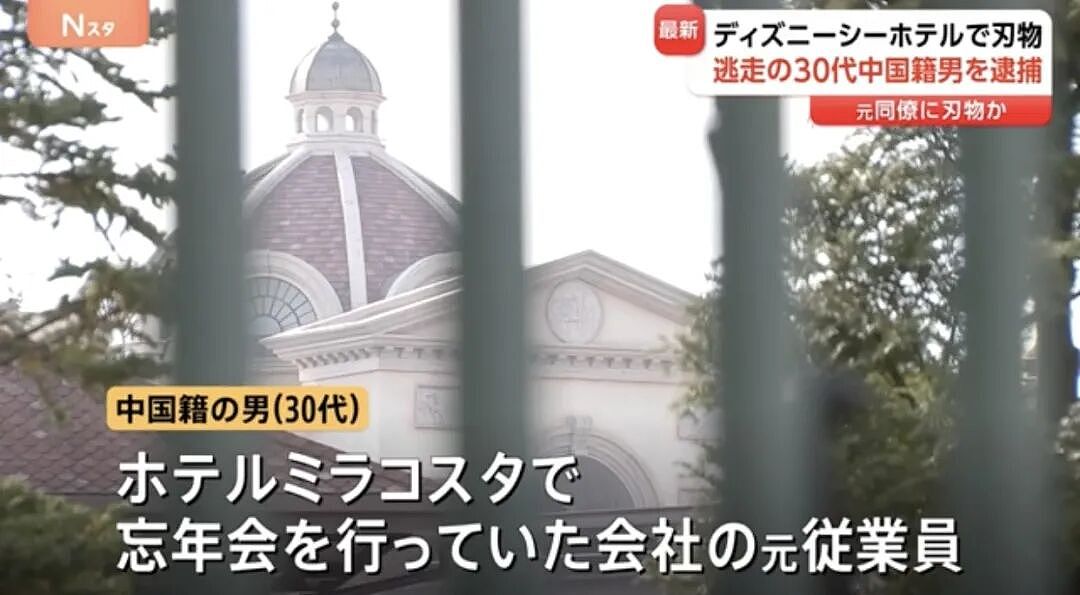 30岁中国男子持刀闯入东京迪士尼引发恐慌！日本人深感不安：近期不敢去事发地（组图） - 12