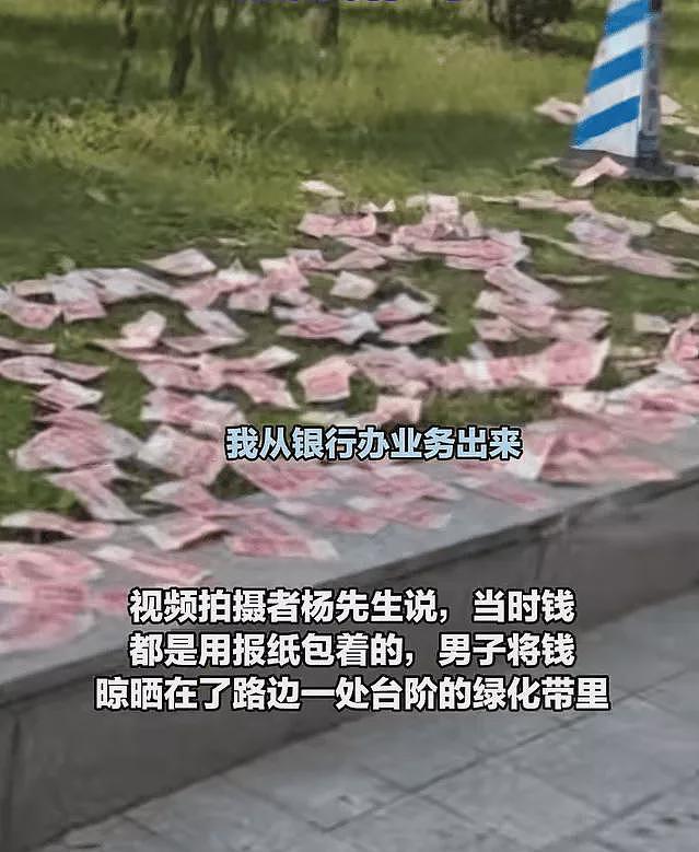 男子摊开10万现金在绿化带晾晒！网友炸锅了（组图） - 1