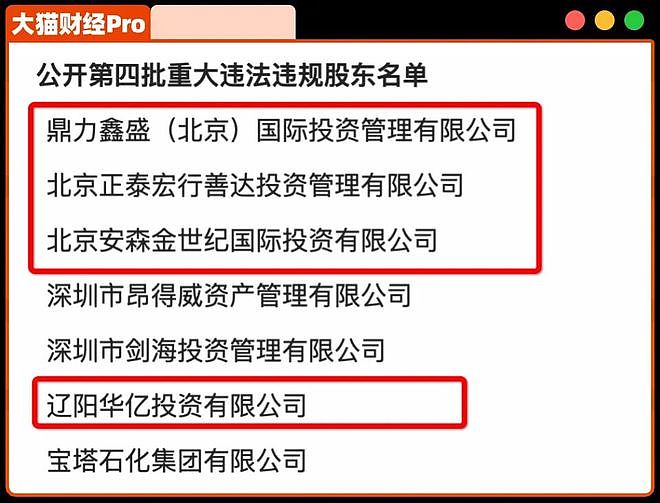 1个老板,69个空壳公司,干破产一家银行(组图) - 5
