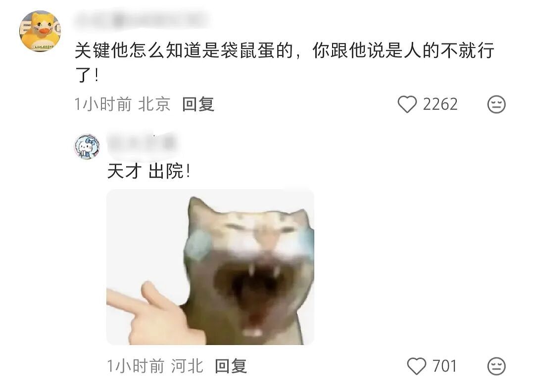 【爆笑】“当你约crush看疯狂动物城2......”哈哈哈哈哈哈哈这什么逆天回复啊（组图） - 89
