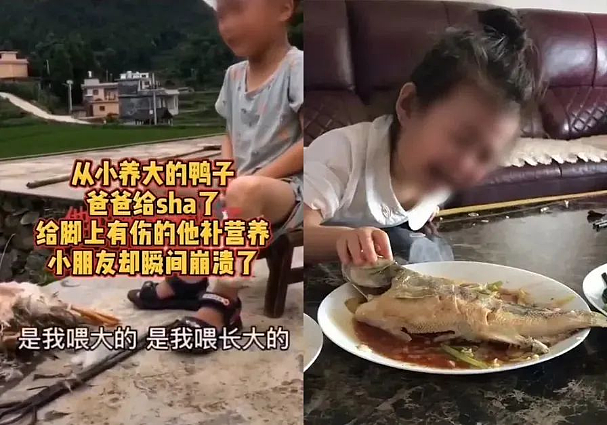 把孩子的宠物杀了吃，还拍视频发网上？！这些父母的操作太丧心病狂了...（组图） - 3