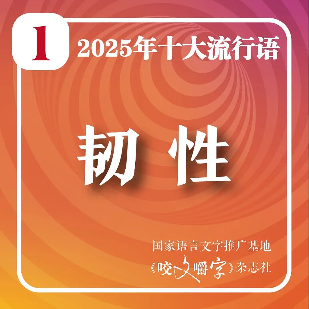 2025年十大流行语公布!“从从容容、游刃有余,匆匆忙忙、连滚带爬”“苏超”“预制xx”等入选(组图) - 2