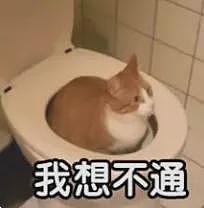 新西兰厕纸离了大谱！华人：“中国人的屁股，一定要用中国纸呵护”（组图） - 7
