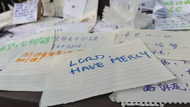 香港宏福苑大火:死亡数增至156人,10名为外佣,成立“独立委员会”进行调查,民间记者会取消(组图) - 14