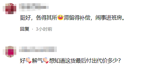 网友吵翻！中国男子在东京飞上海航班上闹事，飞机紧急返航！上百人滞留机场过夜（视频/组图） - 5