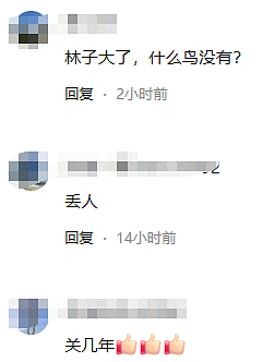 网友吵翻！中国男子在东京飞上海航班上闹事，飞机紧急返航！上百人滞留机场过夜（视频/组图） - 3