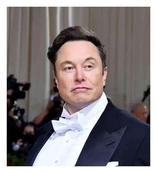 马斯克沉迷生娃,已生14个孩子,目标生一个军团,或要生到80岁(组图) - 19