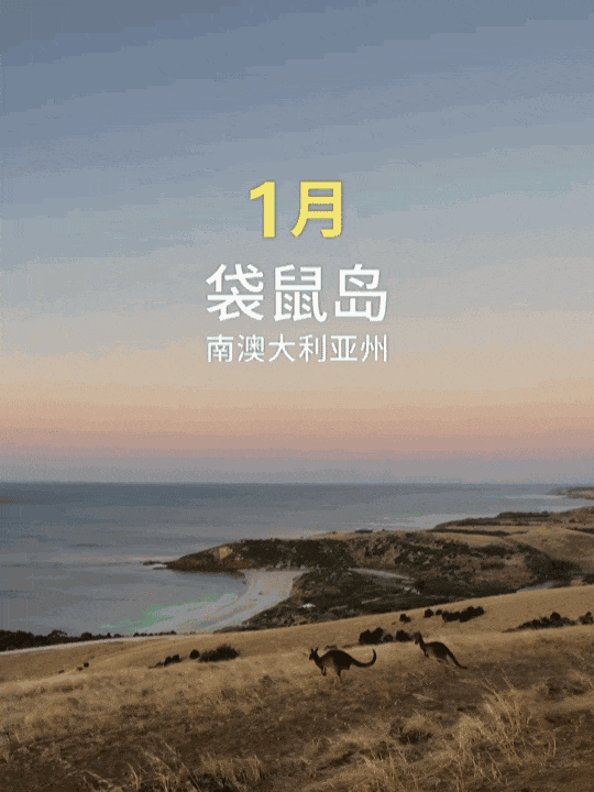 夏天会周而复始，但澳大利亚永远盛夏（组图） - 1