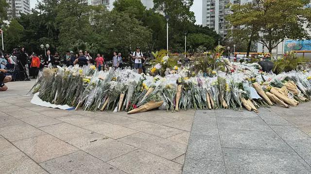 香港宏福苑大火:死亡数增至156人,10名为外佣,成立“独立委员会”进行调查,民间记者会取消(组图) - 16