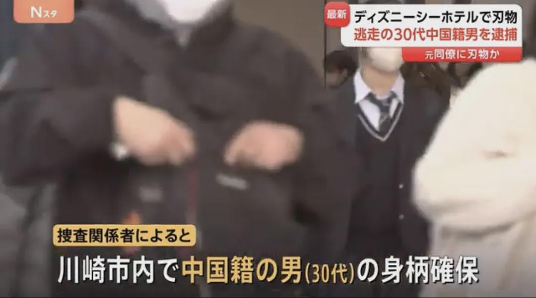 突发！30岁华裔男子挥舞20厘米长刀，闯入东京迪士尼（视频/组图） - 7