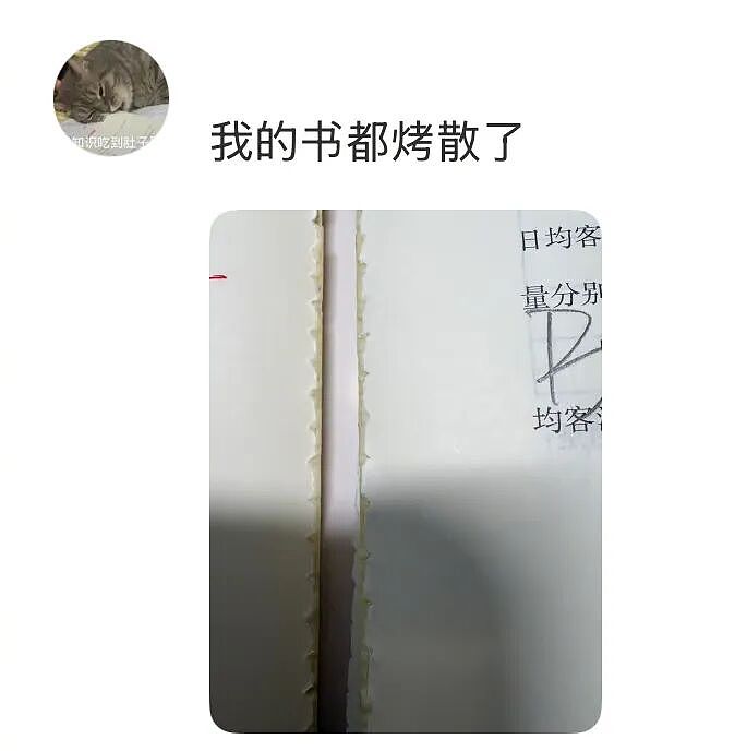 【爆笑】男朋友出差报备图是一个人住的吗？”​​​网友：男朋友穿黑色蕾丝bra（组图） - 67