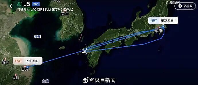 网友吵翻！中国男子在东京飞上海航班上闹事，飞机紧急返航！上百人滞留机场过夜（视频/组图） - 1