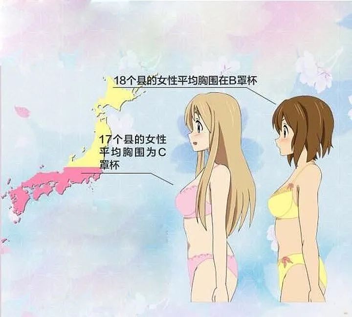 【美女】为什么日本妹子的胸比中国女生大？知道真相的我眼泪掉了下来（组图） - 11