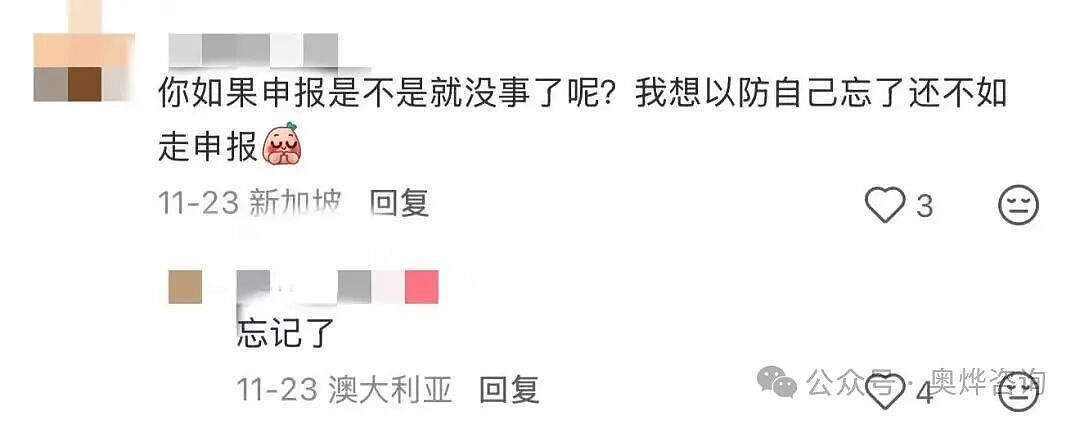 大批华人踩雷！澳洲海关疯狂开罚单，一次$1960！原因竟是这个？（组图） - 8