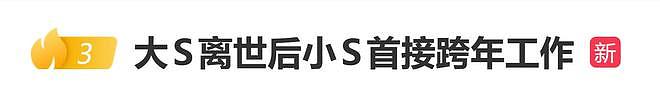 大S离世后小S为跨年宣传片担任旁白，录音时数度情绪崩溃（组图） - 1