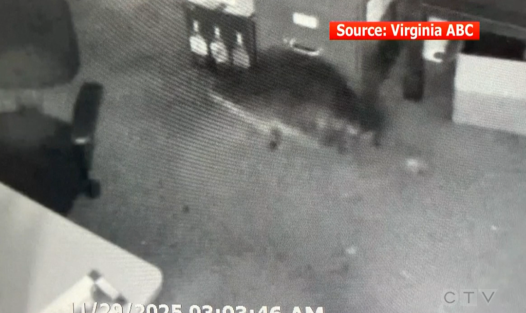 热搜爆了！浣熊撬天花板洗劫，偷酒喝到断片，宿醉瘫厕所，笑喷全网（组图） - 3