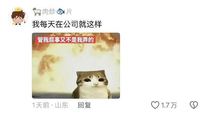 【爆笑】4000万的梵克雅宝八音盒长这样？网友夺笋：果然是有钱人的消遣不一般呢（视频/组图） - 37