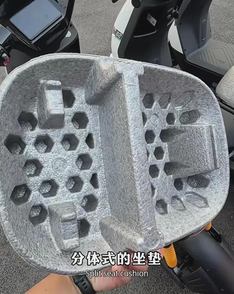 狗看了都摇头！新国标电动车上市遇冷，商家带头吐槽，官方答疑（组图） - 12
