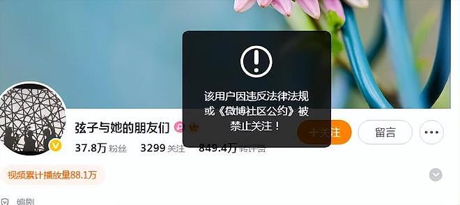7年前诬告朱军“性骚扰”,让他身败名裂的弦子,如今怎样了(组图) - 21