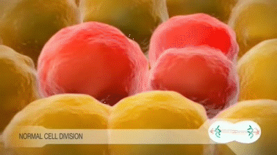 6种食物被证实“促癌”，很多人每天都在吃（组图） - 1
