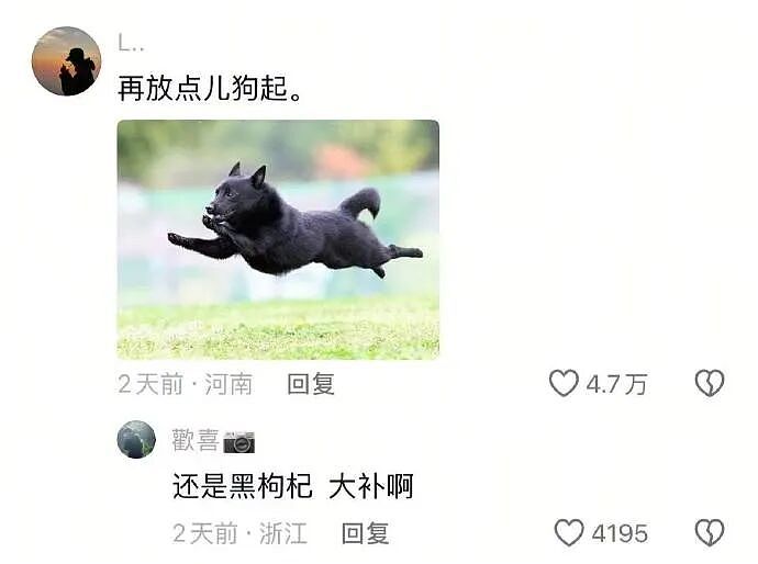 【爆笑】4000万的梵克雅宝八音盒长这样？网友夺笋：果然是有钱人的消遣不一般呢（视频/组图） - 9
