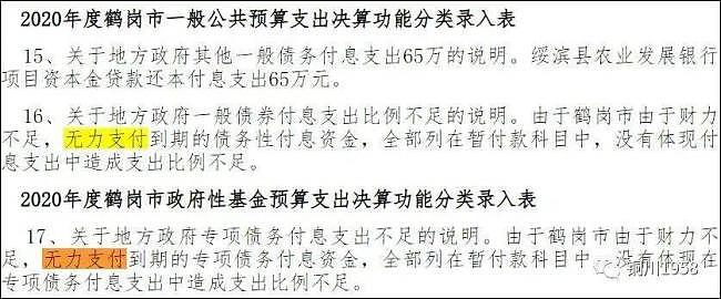 负债130亿！首个地级市政府破产重组（组图） - 3