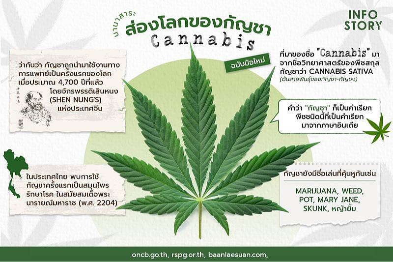 亚洲第一个大麻合法化的国家，现在后悔了（组图） - 4