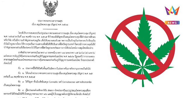 亚洲第一个大麻合法化的国家，现在后悔了（组图） - 16