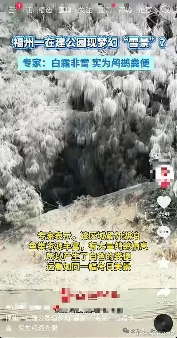 【爆笑】穿cos服被村民当成狐仙下凡…？哈哈哈对方肯定了你的cos并送上了无料（组图） - 26