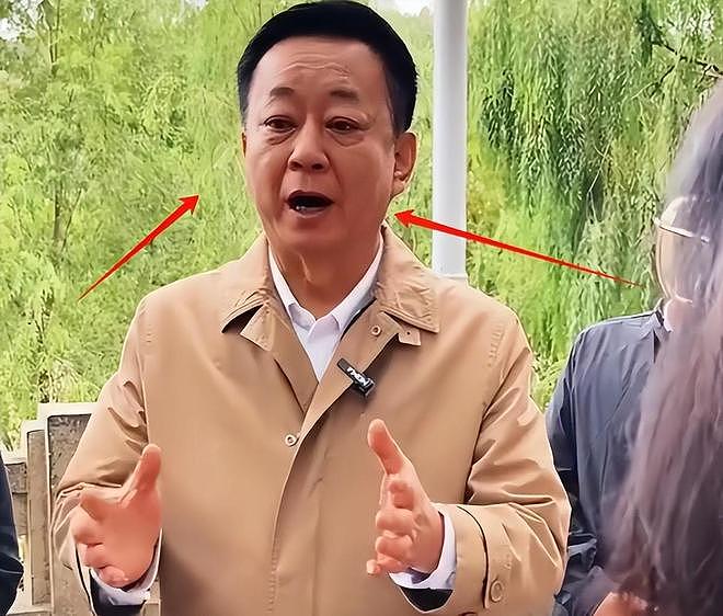 7年前诬告朱军“性骚扰”,让他身败名裂的弦子,如今怎样了(组图) - 2