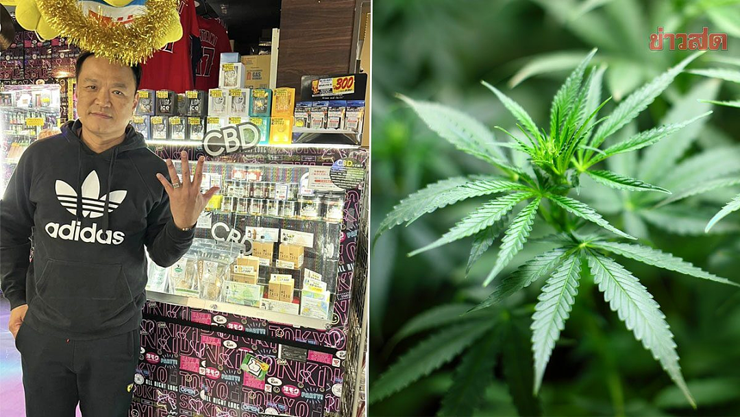 亚洲第一个大麻合法化的国家，现在后悔了（组图） - 19