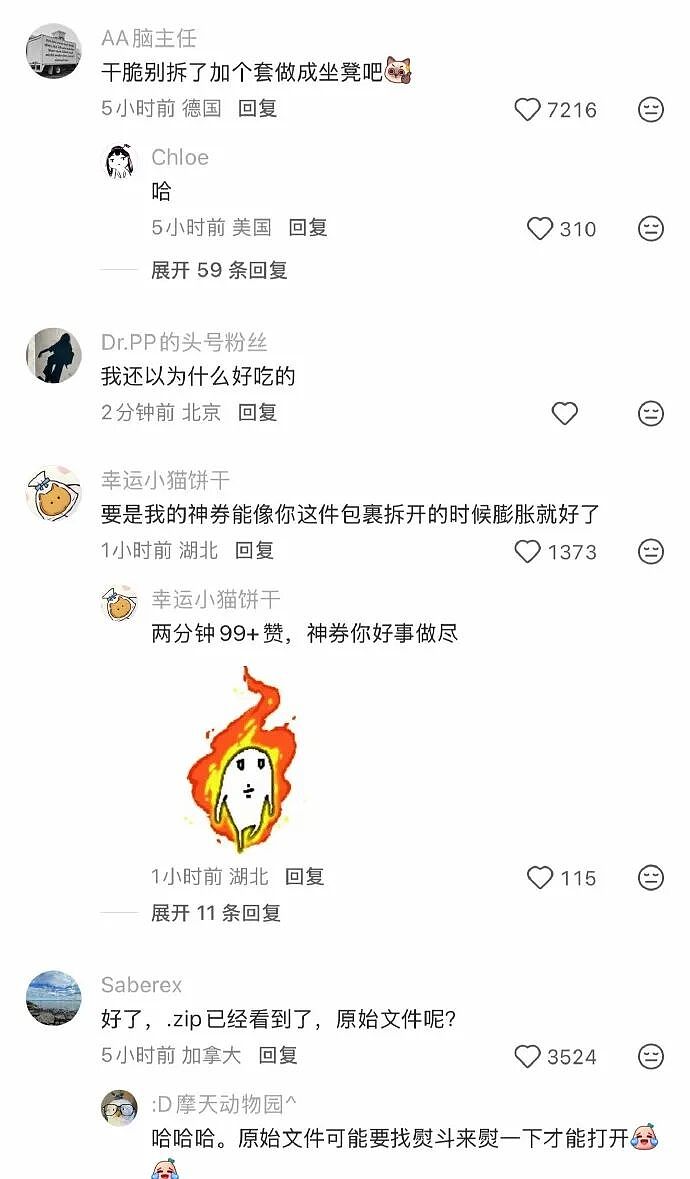 【爆笑】4000万的梵克雅宝八音盒长这样？网友夺笋：果然是有钱人的消遣不一般呢（视频/组图） - 25