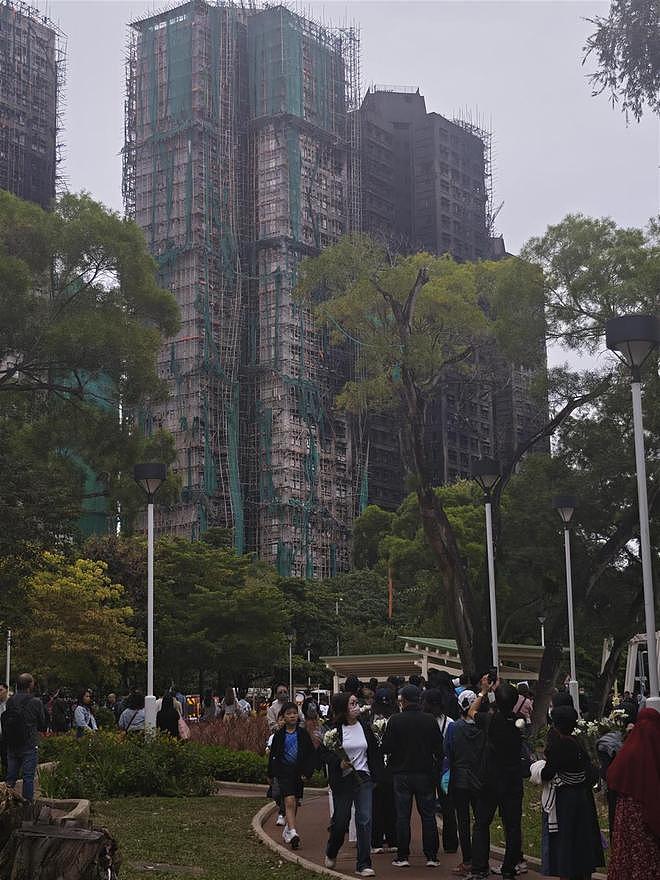 大火后的香港宏福苑：伤痛、自救与互助（组图） - 1