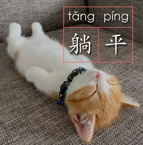 1000亿全被骗光！爱马仕继承人被吃干抹净无钱可用，财富自由后躺平就是个笑话？（组图） - 9