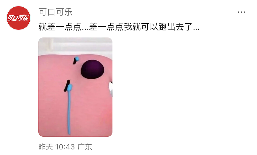【爆笑】“婚礼跟拍能有多抽象？！”哈哈哈哈哈哈哈哈哈看完抠出三室一厅（组图） - 18