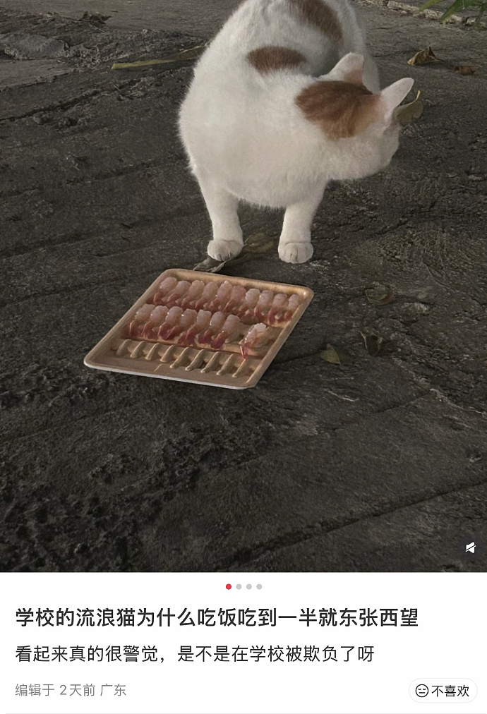【爆笑】“当歌词被翻译成塑料方言......”哈哈哈哈哈哈哈原唱连夜下架歌曲(组图) - 51