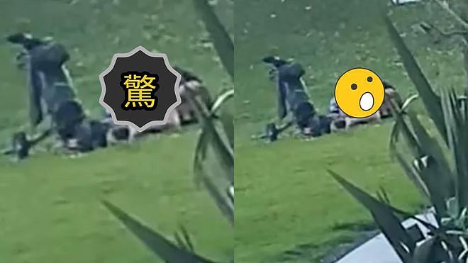 女子慢跑惊见情侣在高尔夫球场上激战,网友笑称:一杆进洞(组图) - 1