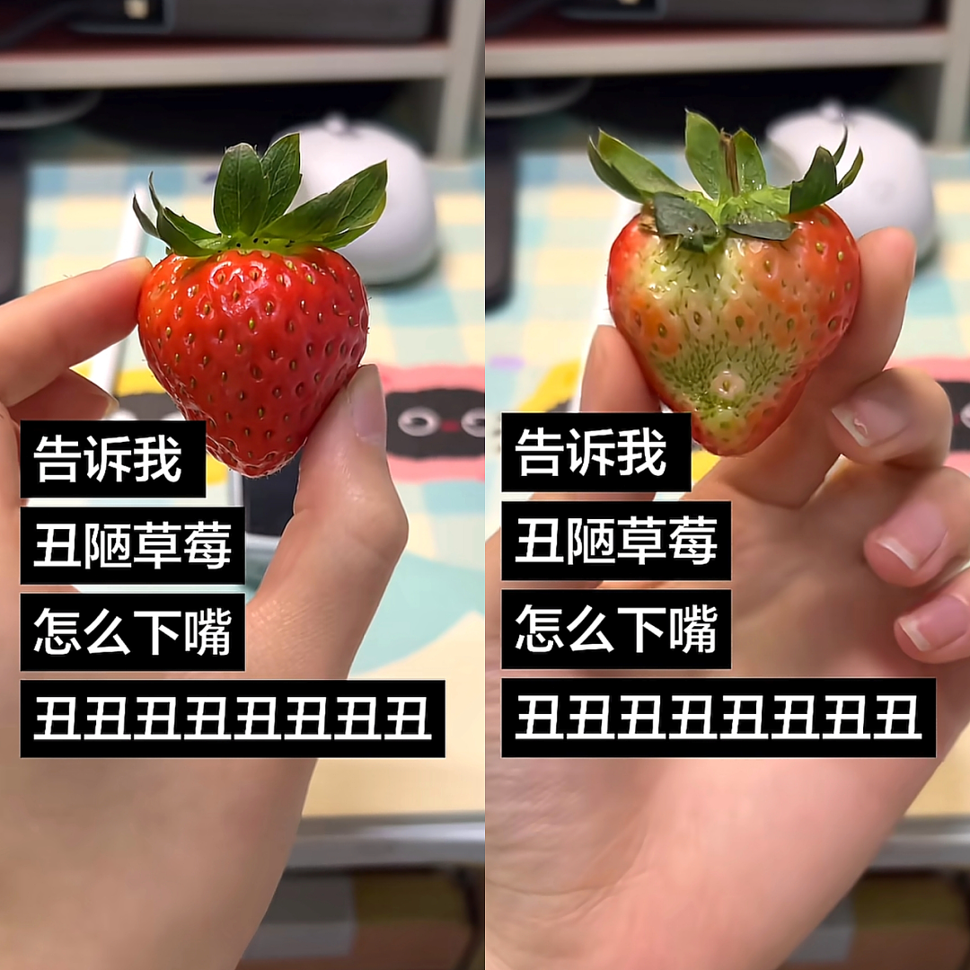 【爆笑】“当歌词被翻译成塑料方言......”哈哈哈哈哈哈哈原唱连夜下架歌曲(组图) - 101