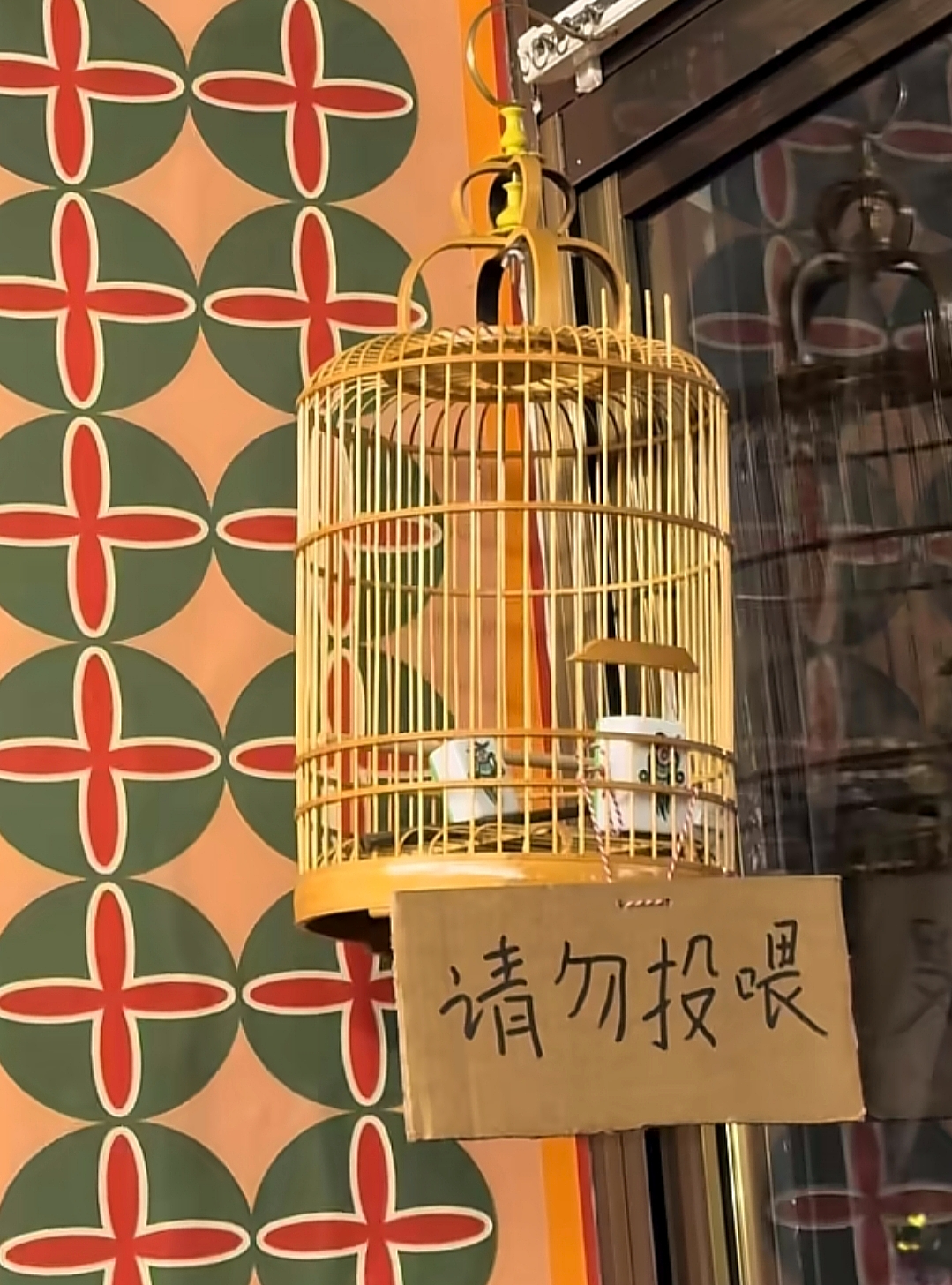 【爆笑】“当歌词被翻译成塑料方言......”哈哈哈哈哈哈哈原唱连夜下架歌曲(组图) - 27